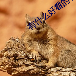 918博天堂·(中国)手机版客户端