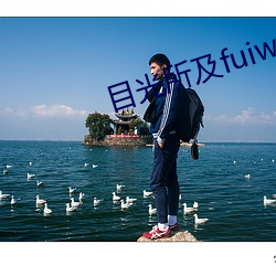 目光所及fuiwen