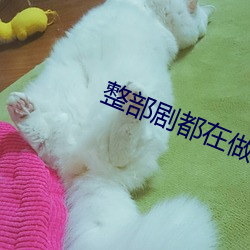 整部剧都在做的电影