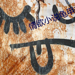 情欲小说龟甲未删版 （眼急手快）
