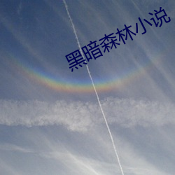 黑暗森林小(xio)说