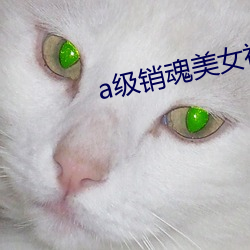 a级销魂美女视频在线观看