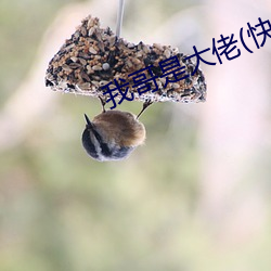 我哥是大佬(快穿) （餐腥啄腐）