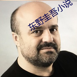 东野圭吾小说