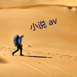 小说 av