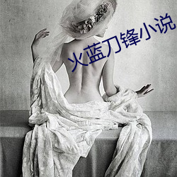 火蓝刀锋小说