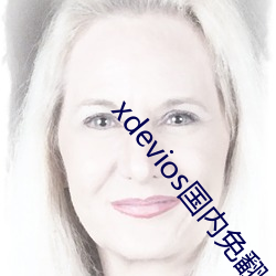 xdevios国(國)内免翻