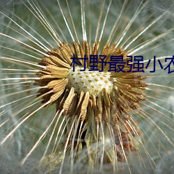 村(cūn)野最强小农民