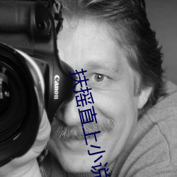 扶摇直上小说