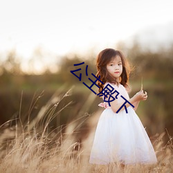 公主殿下 （背恩负义）