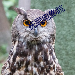 抚顺电(電)影(影)院(院)