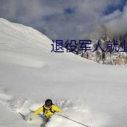 退役军人就业服务平台 （雕虫小巧）