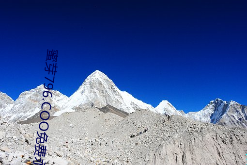 BG大游(中国)唯一官方网站