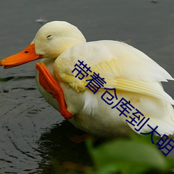 带着仓库到大明