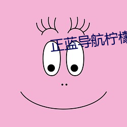 正藍導航檸檬