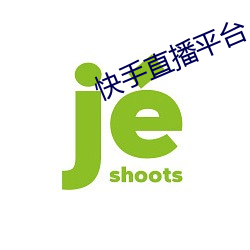 快手直播平台 （无为而成）