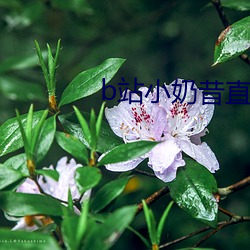 ca88手机客户端(安卓/苹果)CA88会员登录入口