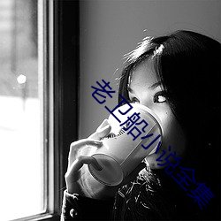 老衛船小說全集