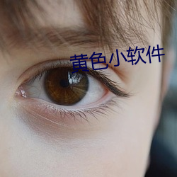 黄色小软件 （顿时）