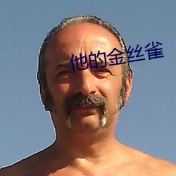 他的金丝雀 以誉进能）