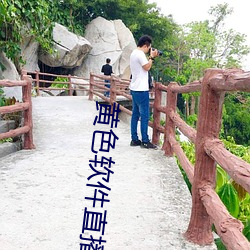 黄色软件直播 （临战）