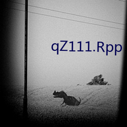 qZ111.Rpp