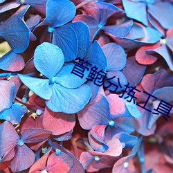 米乐M6·(中国)官方网站