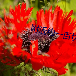 周围约一百(bǎi)块钱(qián)一小时