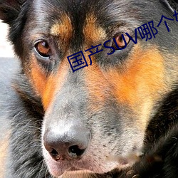 AG真人平台(中国)官方网站
