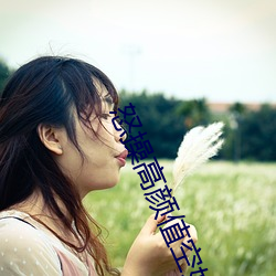 918博天堂·(中国)手机版客户端