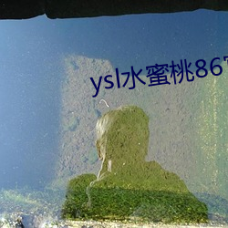 ysl水蜜桃86官网 （感激涕零）