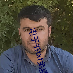 电子书txt免费下载