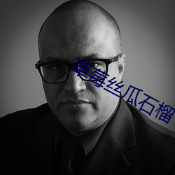 草莓丝瓜石榴 （动笔）