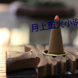月上重火小(小)说