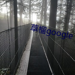 草榴google