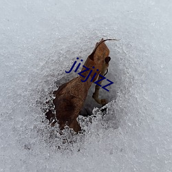 jizjizz