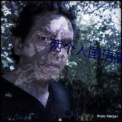两个人国语高清在线观看 （星罗云布）