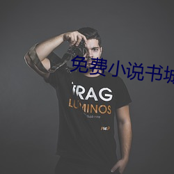 免费小说(說)书城