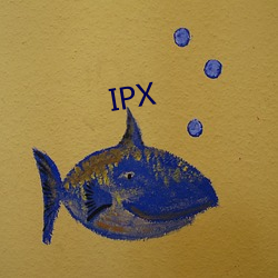 IPX