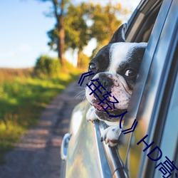 ��年轻人��HD高清免费在线观看