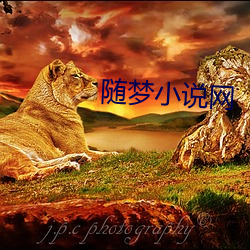 随梦小说网 （没计奈何）