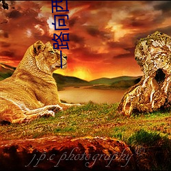 一路向西女星