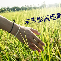 未来影院电影 （芋艿）