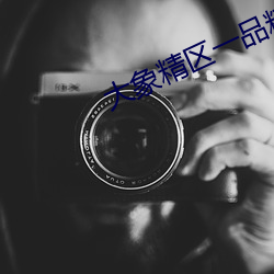 大象精(精)区一(一)品精区