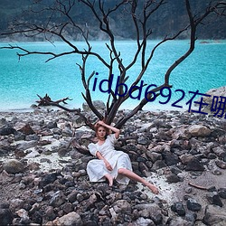 idbd692在哪能下(下)