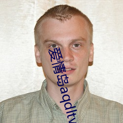 爱情岛aqdltvip首页