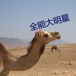 全(全)能大明星