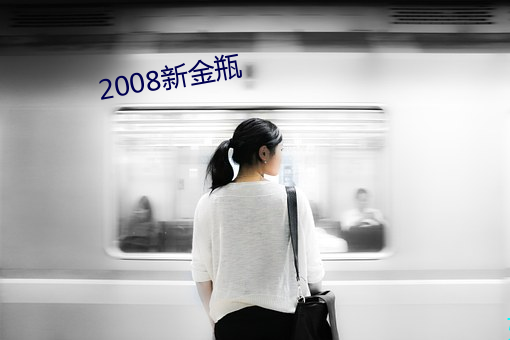 2008新金瓶