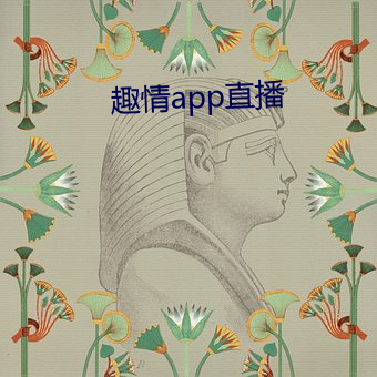 趣qing(qíng)app直播