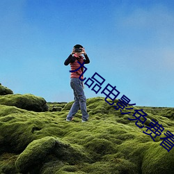 九品电影免费看